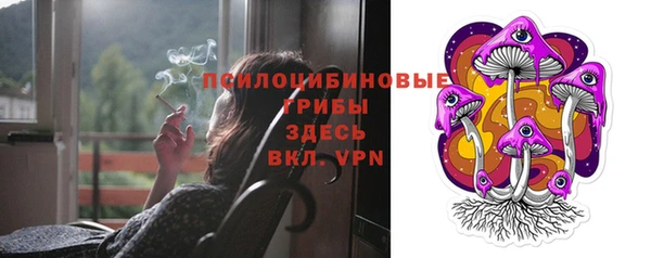 Альфа ПВП Беломорск
