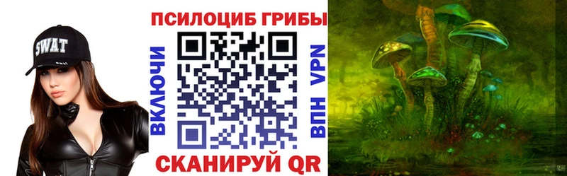 Купить  Невель  Псилоцибиновые грибы Psilocybe 