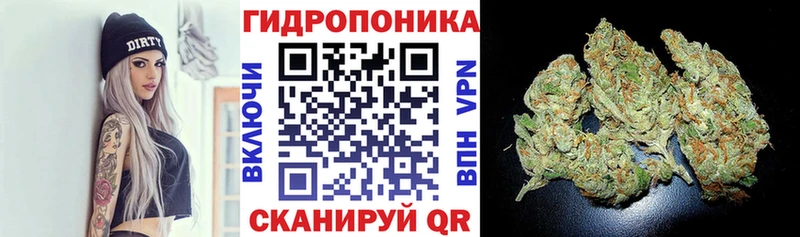 Каннабис OG Kush  Купить где  Невель 